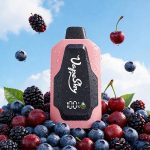 Accessories: Bio electric scooter vehicle battery