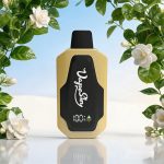 Accessories: Bio electric scooter vehicle battery